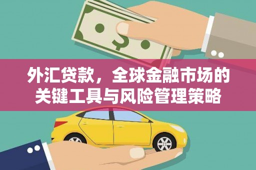 中区外汇贷款，全球金融市场的关键工具与风险管理策略
