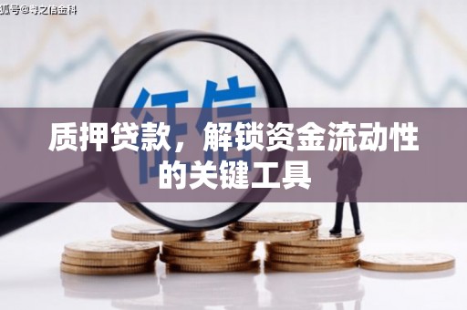 中区质押贷款，解锁资金流动性的关键工具