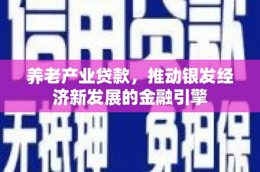 中区养老产业贷款，推动银发经济新发展的金融引擎