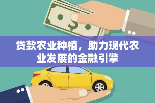 中区贷款农业种植，助力现代农业发展的金融引擎