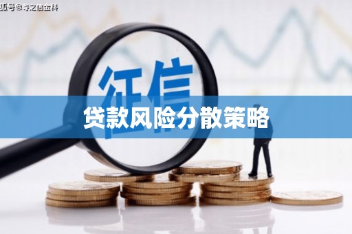 中区贷款风险分散策略