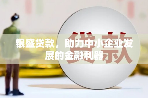 中区银盛贷款，助力中小企业发展的金融利器
