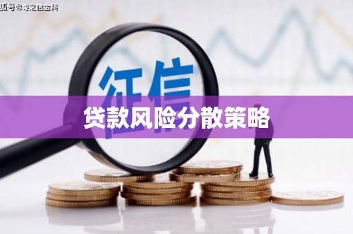 中区贷款风险分散策略