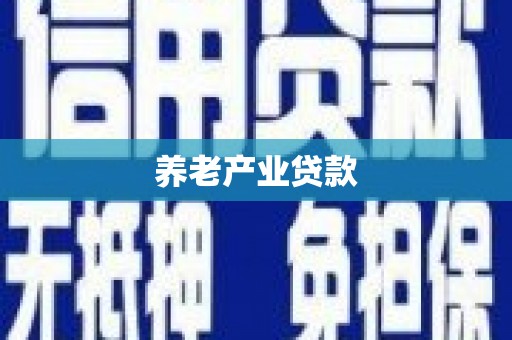 中区养老产业贷款