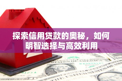 中区探索信用贷款的奥秘，如何明智选择与高效利用