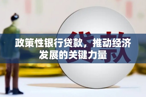 中区政策性银行贷款，推动经济发展的关键力量
