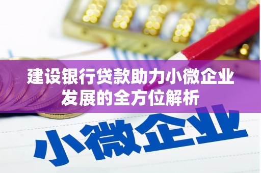 中区建设银行贷款助力小微企业发展的全方位解析
