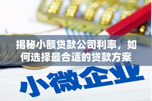 中区揭秘小额贷款公司利率，如何选择最合适的贷款方案