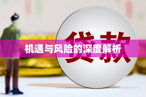 中区机遇与风险的深度解析
