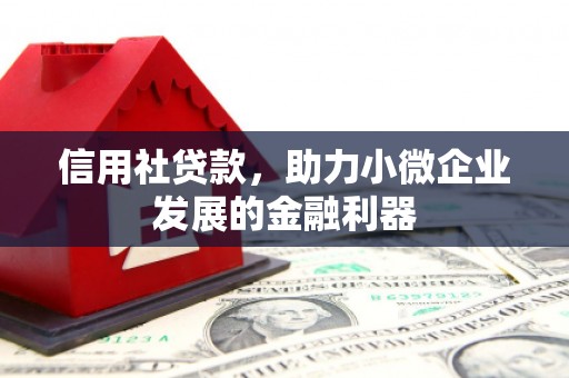 中区信用社贷款，助力小微企业发展的金融利器