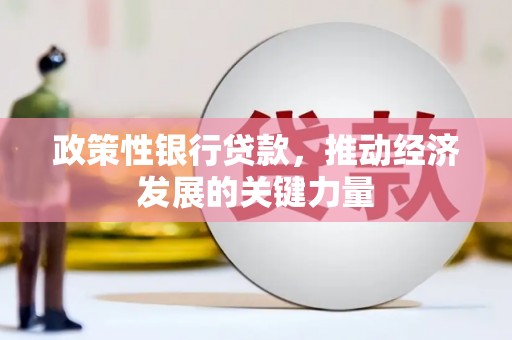 中区政策性银行贷款，推动经济发展的关键力量