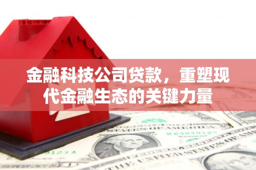 中区金融科技公司贷款，重塑现代金融生态的关键力量