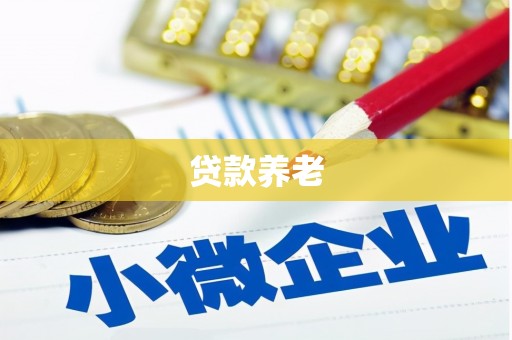 中区贷款养老