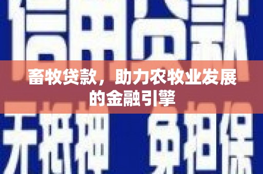 中区畜牧贷款，助力农牧业发展的金融引擎