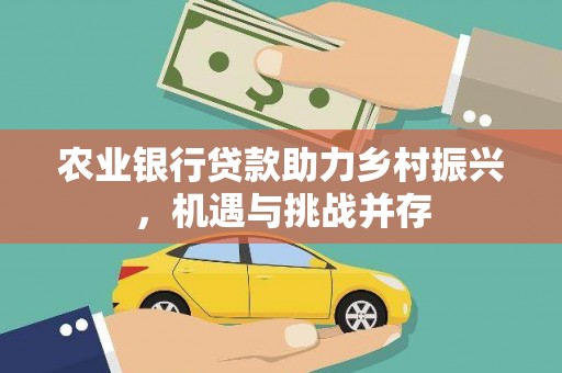 中区农业银行贷款助力乡村振兴，机遇与挑战并存