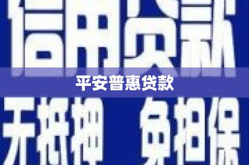 中区平安普惠贷款