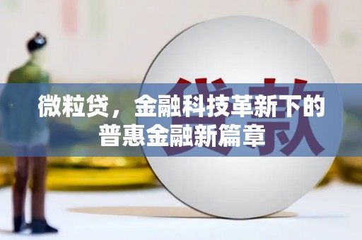 中区微粒贷，金融科技革新下的普惠金融新篇章