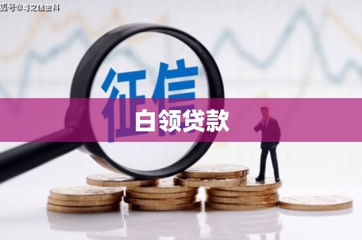 中区白领贷款
