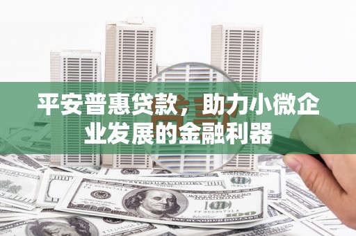 中区平安普惠贷款，助力小微企业发展的金融利器