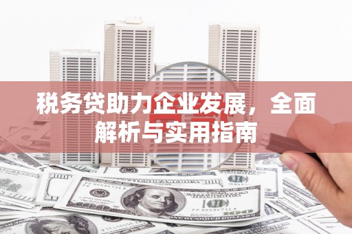 中区税务贷助力企业发展，全面解析与实用指南