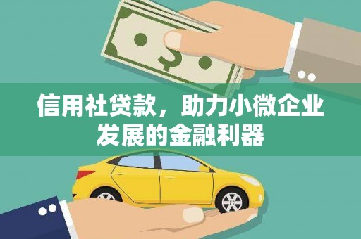 中区信用社贷款，助力小微企业发展的金融利器