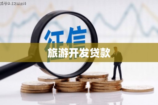 中区旅游开发贷款