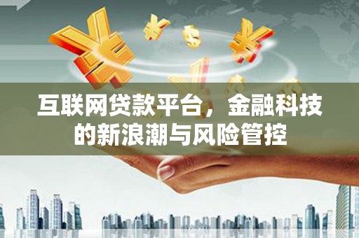 中区互联网贷款平台，金融科技的新浪潮与风险管控