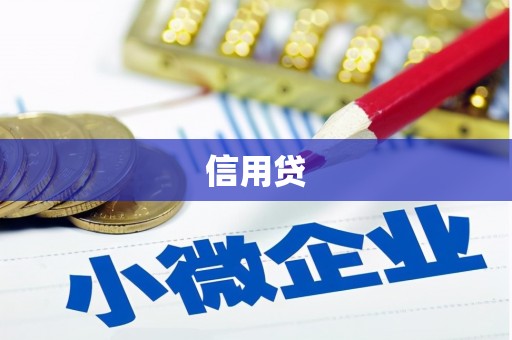中区信用贷
