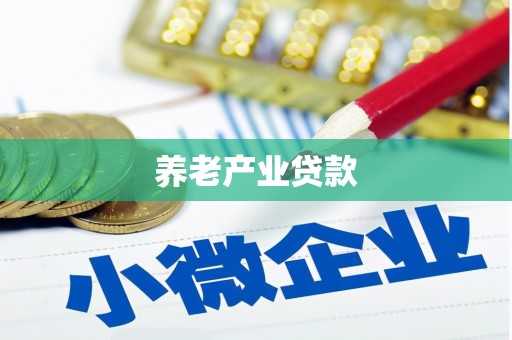 中区养老产业贷款