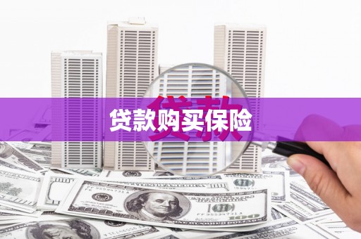 中区贷款购买保险