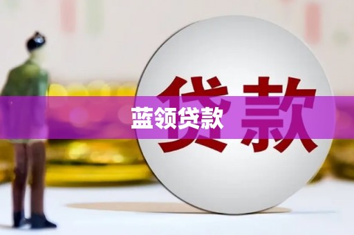 中区蓝领贷款