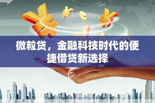中区微粒贷，金融科技时代的便捷借贷新选择