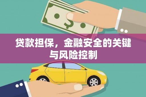 中区贷款担保，金融安全的关键与风险控制