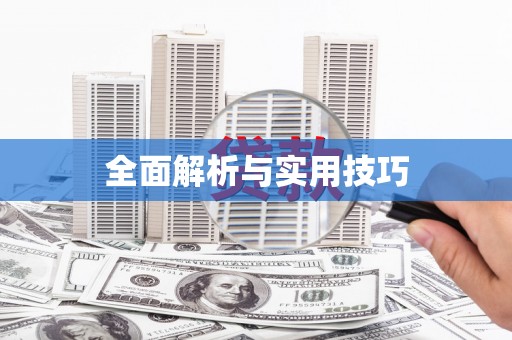 中区全面解析与实用技巧
