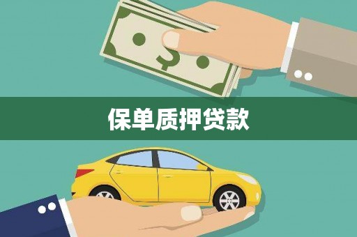 中区保单质押贷款