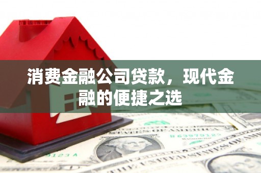 中区消费金融公司贷款，现代金融的便捷之选