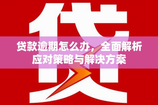 中区贷款逾期怎么办，全面解析应对策略与解决方案