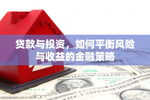 中区贷款与投资，如何平衡风险与收益的金融策略