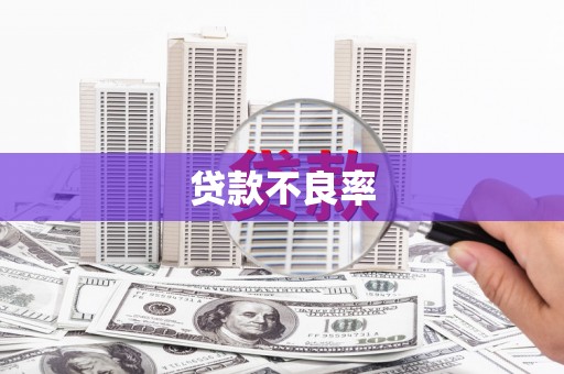 中区贷款不良率
