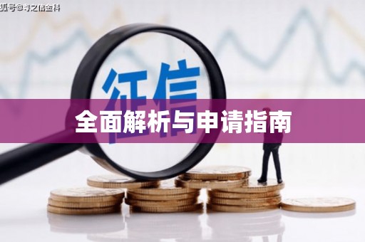 中区全面解析与申请指南
