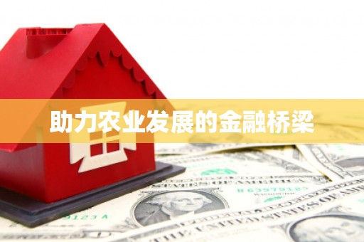 中区助力农业发展的金融桥梁