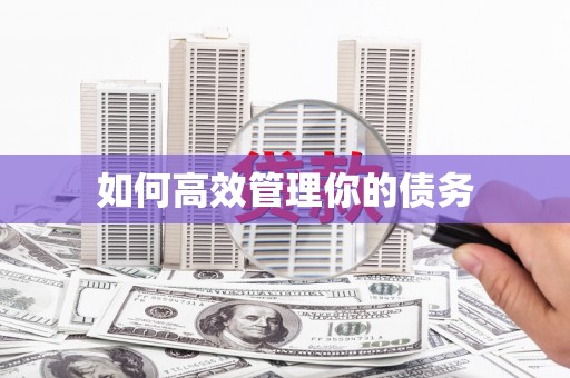 中区如何高效管理你的债务