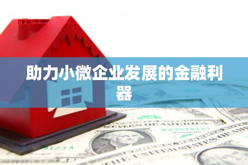 中区助力小微企业发展的金融利器