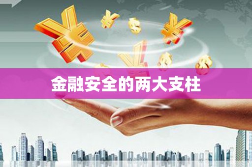 中区金融安全的两大支柱