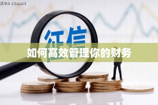 中区如何高效管理你的财务