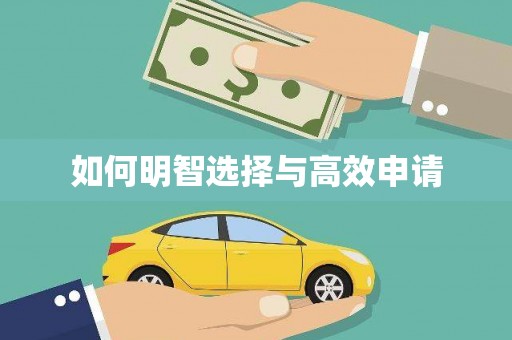 中区如何明智选择与高效申请