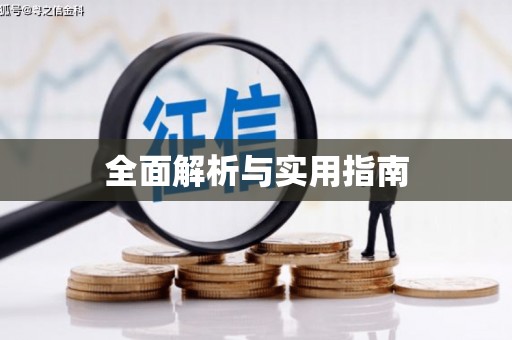 中区全面解析与实用指南