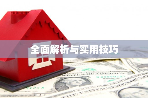 中区全面解析与实用技巧