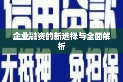 中区企业融资的新选择与全面解析