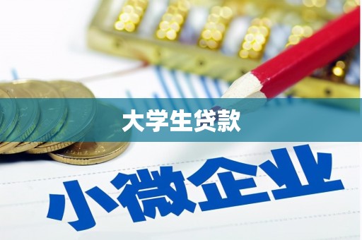 中区大学生贷款